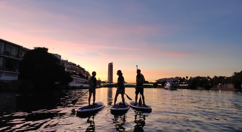 Sevilha: Passeio de Paddle Boarding ao pôr-do-sol e à noite Organizado por Paddle Surf Sevilla