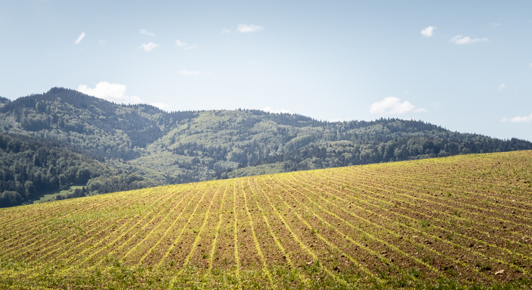 Schönberg Wandern - Naturtour