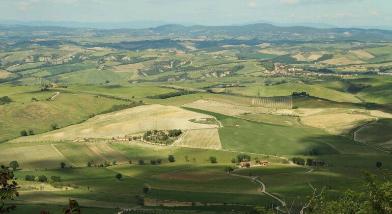 Val d'Orcia Original Wine Tour From Florence Italy &mdash; #5