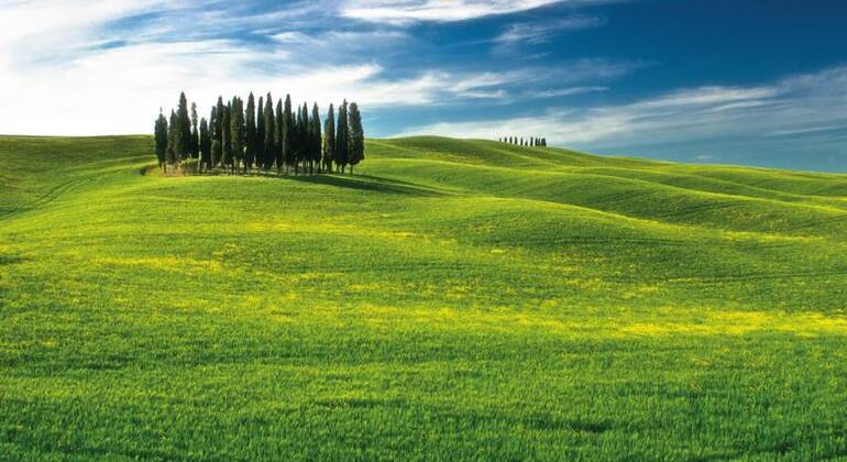 Val d'Orcia Original Wine Tour From Florence Italy &mdash; #6