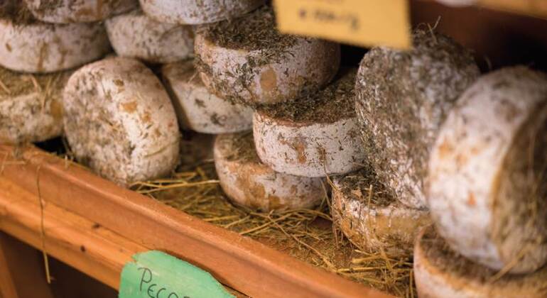 Val d'Orcia Original Wine Tour From Florence Italy &mdash; #13