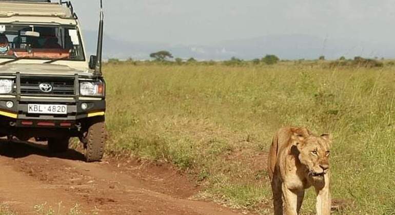Nairobi Park Game Drive Kenya — #9