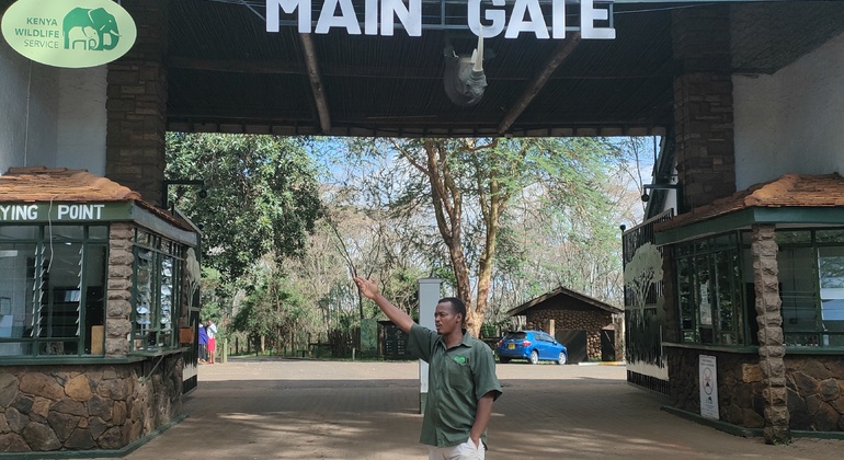 Nairobi Park Game Drive Kenya — #11