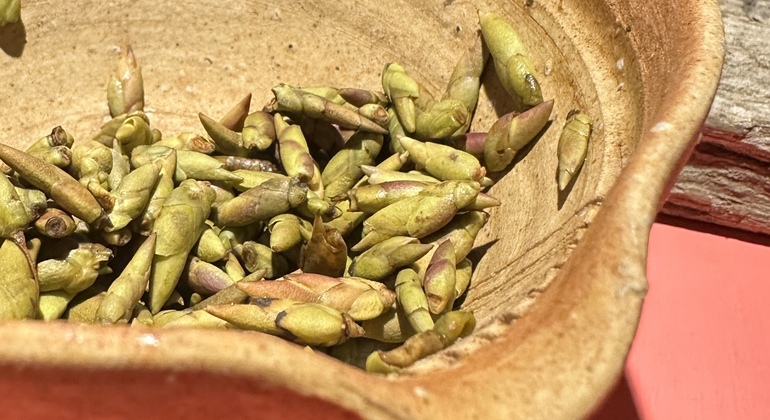 Hoi An Vegan Food Tour Vietnam — #6