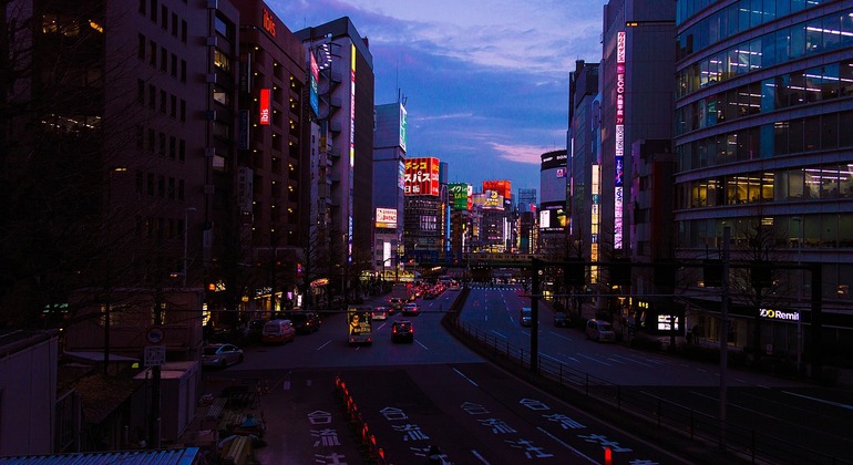 Shinjuku Night Walking Tour, Japan