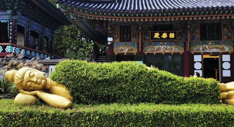 Eintägige Seoul Palast & Essen Tour Südkorea — #9