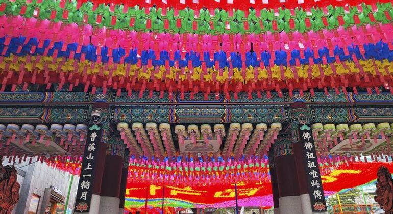 Eintägige Seoul Palast & Essen Tour Südkorea — #11