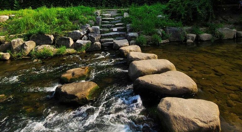 Eintägige Seoul Palast & Essen Tour Südkorea — #23