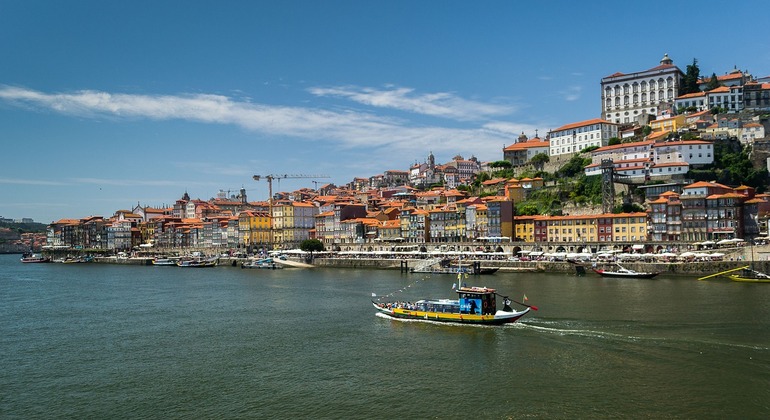 Porto Food Experience - Free Tour Provided by Hanna Fux