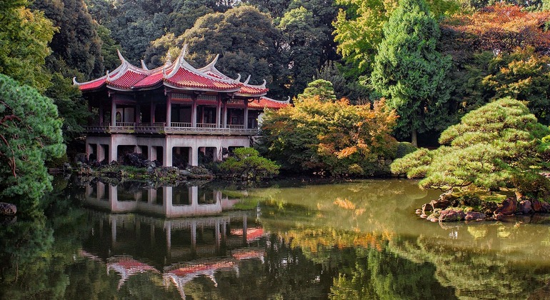 Excursão de um dia em Tóquio, Japan