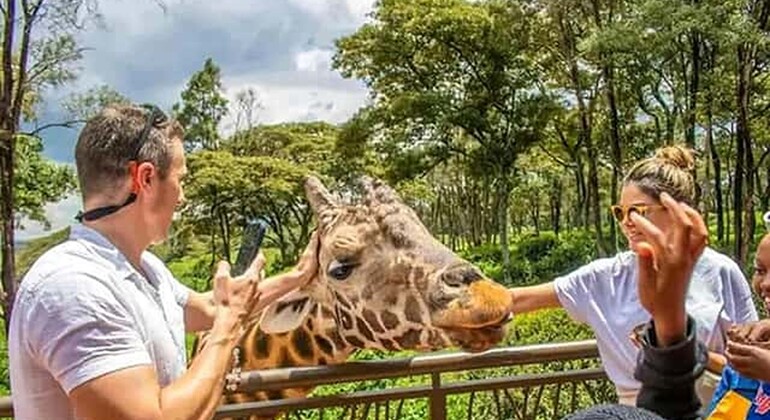 Mombasa: Guided Nature Walk Amongst Giraffes at Nguuni Sanctuary Kenya — #2