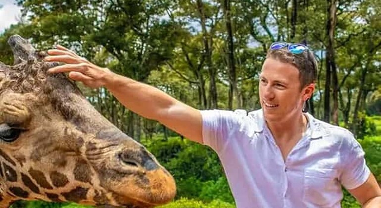 Mombasa: Guided Nature Walk Amongst Giraffes at Nguuni Sanctuary Kenya — #3