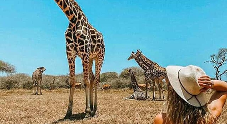 Mombasa: Guided Nature Walk Amongst Giraffes at Nguuni Sanctuary Kenya — #8