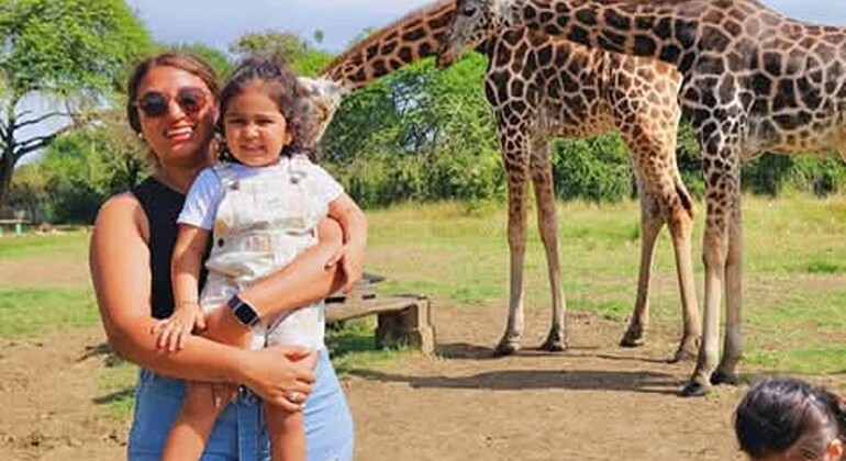 Mombasa: Guided Nature Walk Amongst Giraffes at Nguuni Sanctuary Kenya — #9