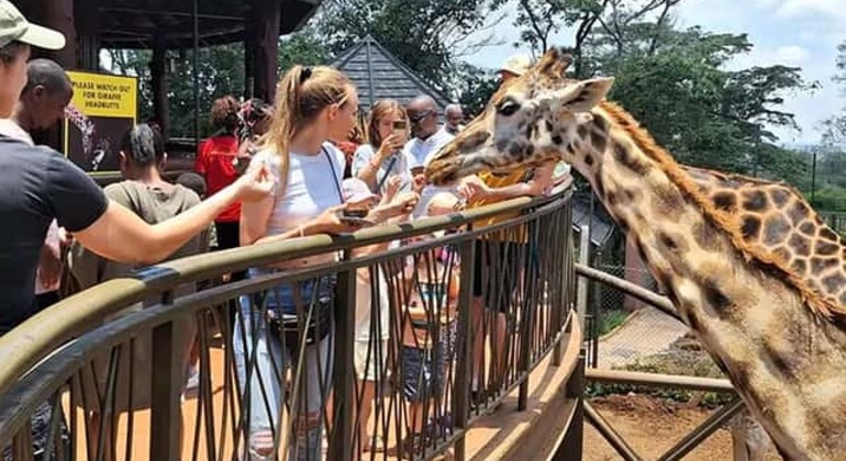 Mombasa: Guided Nature Walk Amongst Giraffes at Nguuni Sanctuary Kenya — #10