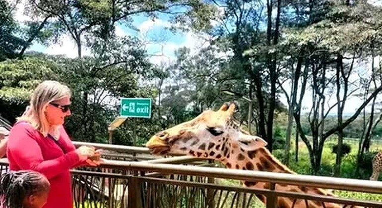 Mombasa: Guided Nature Walk Amongst Giraffes at Nguuni Sanctuary Kenya — #12