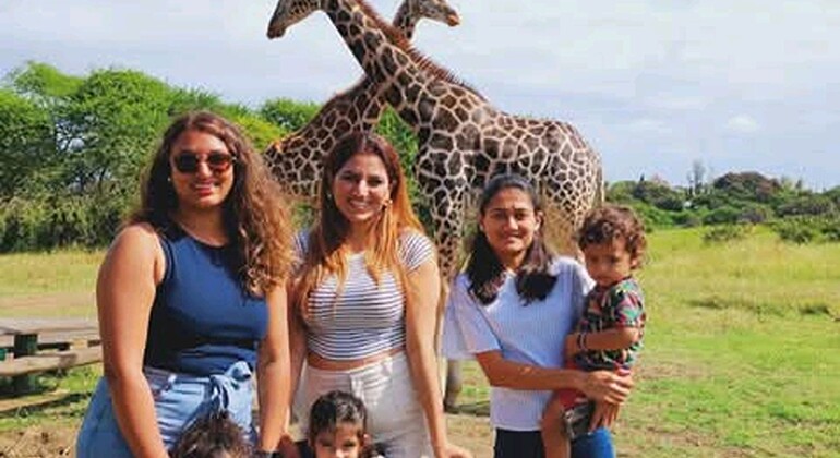 Mombasa: Guided Nature Walk Amongst Giraffes at Nguuni Sanctuary Kenya — #13