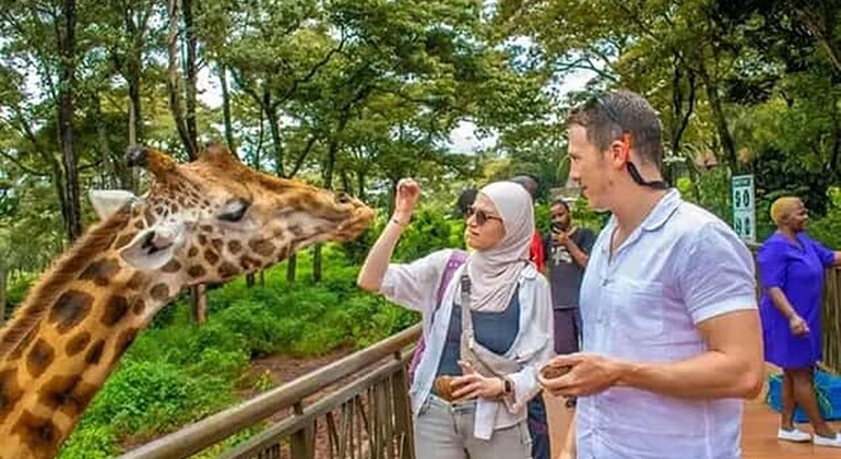Mombasa: Guided Nature Walk Amongst Giraffes at Nguuni Sanctuary Kenya — #14