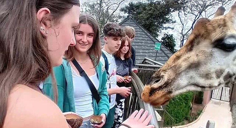 Mombasa: Guided Nature Walk Amongst Giraffes at Nguuni Sanctuary Kenya — #15
