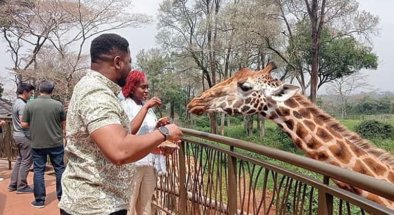 Mombasa: Guided Nature Walk Amongst Giraffes at Nguuni Sanctuary Kenya — #16