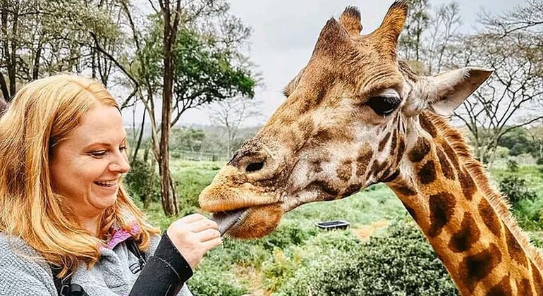 Mombasa: Guided Nature Walk Amongst Giraffes at Nguuni Sanctuary Kenya — #17