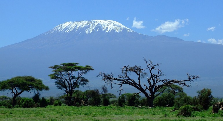 Day Trip to Mount Kilimanjaro Climbing Provided by SERE ADVENTURE SAFARI 