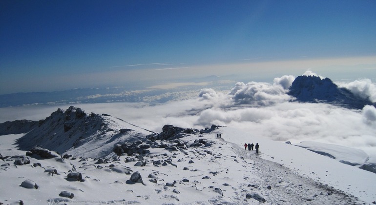 Day Trip to Mount Kilimanjaro Climbing Tanzania &mdash; #2