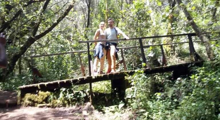 Day Trip to Mount Kilimanjaro Climbing Tanzania &mdash; #8