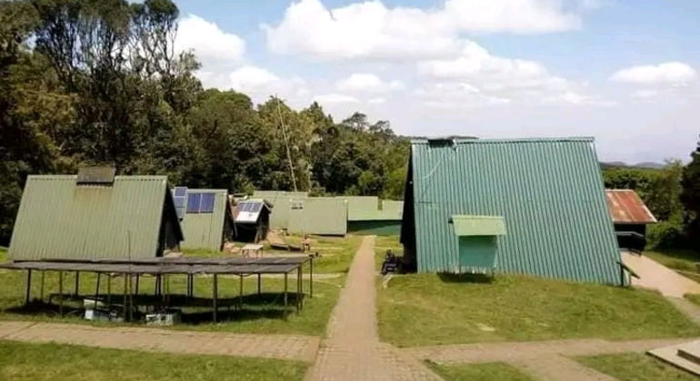 Day Trip to Mount Kilimanjaro Climbing Tanzania &mdash; #12