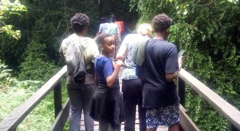 Day Trip to Mount Kilimanjaro Climbing Tanzania &mdash; #16