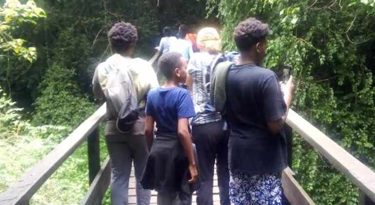 Day Trip to Mount Kilimanjaro Climbing Tanzania &mdash; #17