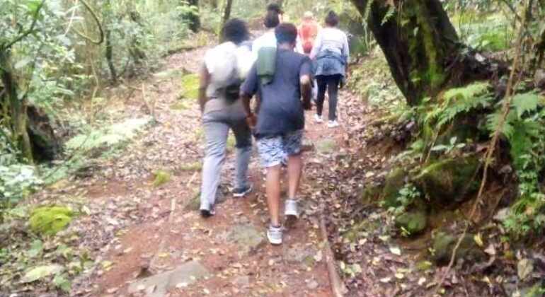 Day Trip to Mount Kilimanjaro Climbing Tanzania &mdash; #18