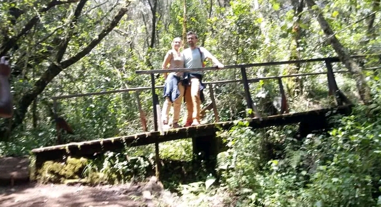 Day Trip to Mount Kilimanjaro Climbing Tanzania &mdash; #29