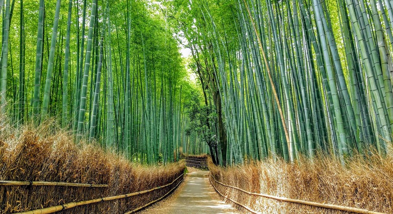 Visite à pied d'Arashiyama - Découvrez les joyaux cachés Fournie par Dio