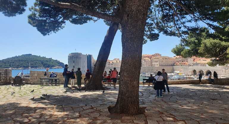 Game of Thrones e la storia della città Tour gratuito Croazia &mdash; #7