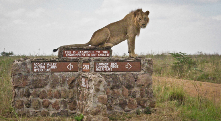 Half Day Tour to the Nairobi National Park Kenya — #1