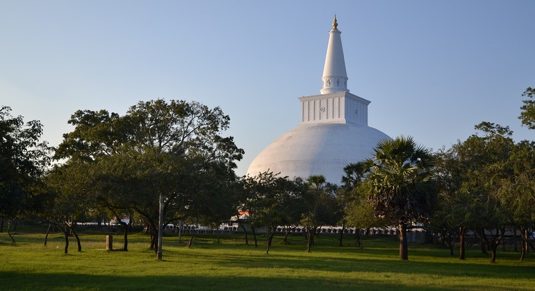 Excursion d'une journée dans la ville ancienne d'Anuradhapura, Sri Lanka