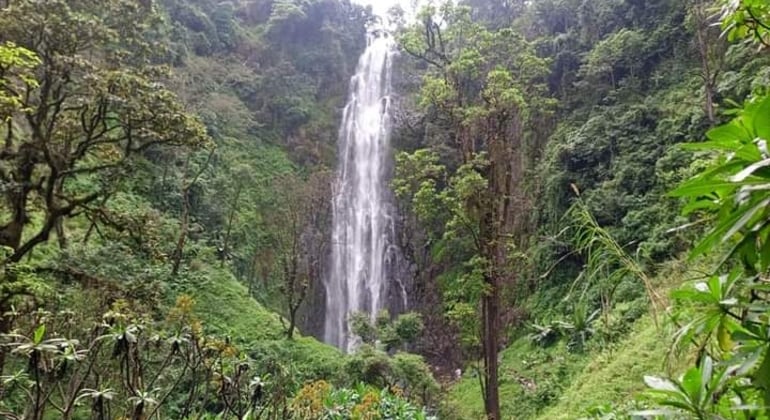 Excursión de un día a las cataratas y al café de Materuni 
