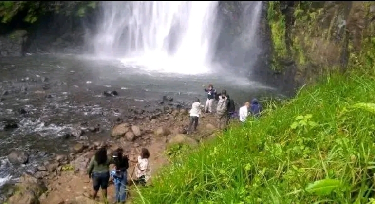 Materuni Wasserfall & Kaffee Tour Tagesausflug  Tansania &mdash; #4