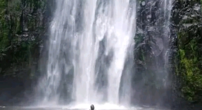 Materuni Wasserfall & Kaffee Tour Tagesausflug  Tansania &mdash; #6