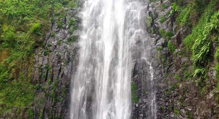 Materuni Wasserfall & Kaffee Tour Tagesausflug  Tansania &mdash; #7