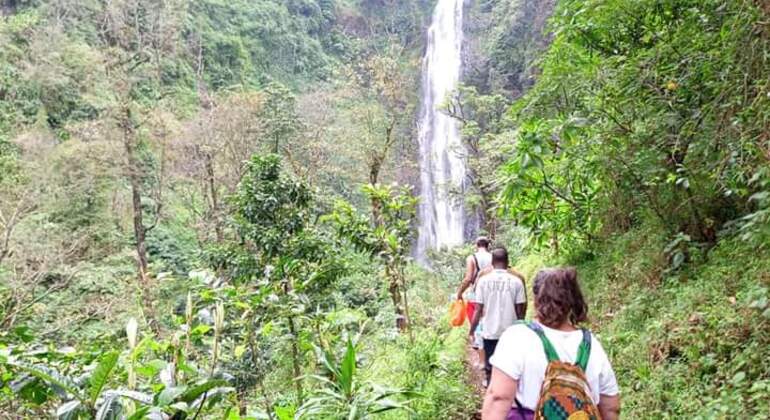Materuni Wasserfall & Kaffee Tour Tagesausflug  Tansania &mdash; #12