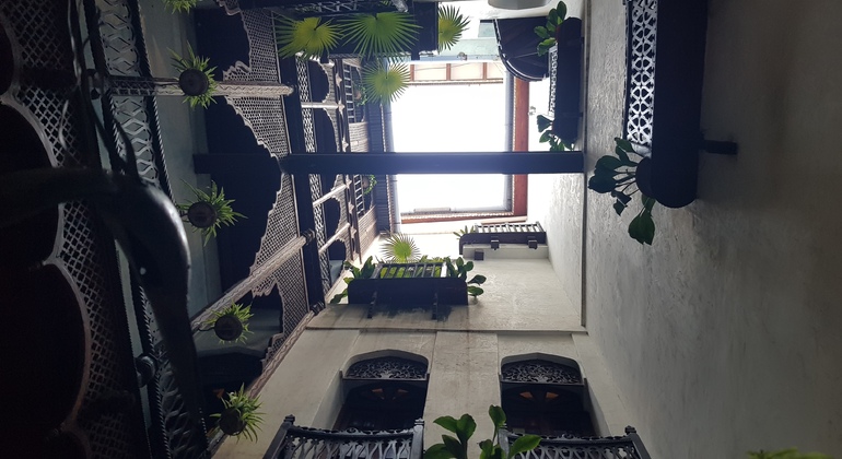 Stone Town Zanzíbar Free Tour Tanzania — #5