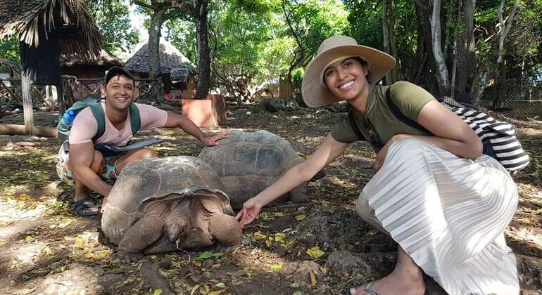 Tour dell'Isola della Prigione e della spiaggia di Nakupenda Tanzania &mdash; #2