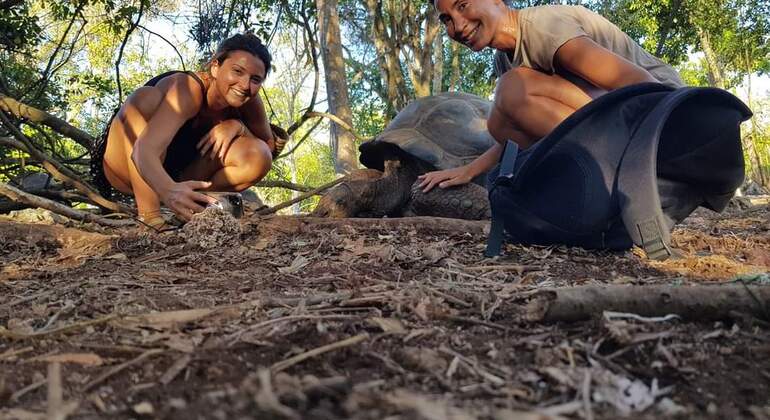 Tour dell'Isola della Prigione e della spiaggia di Nakupenda Tanzania &mdash; #3