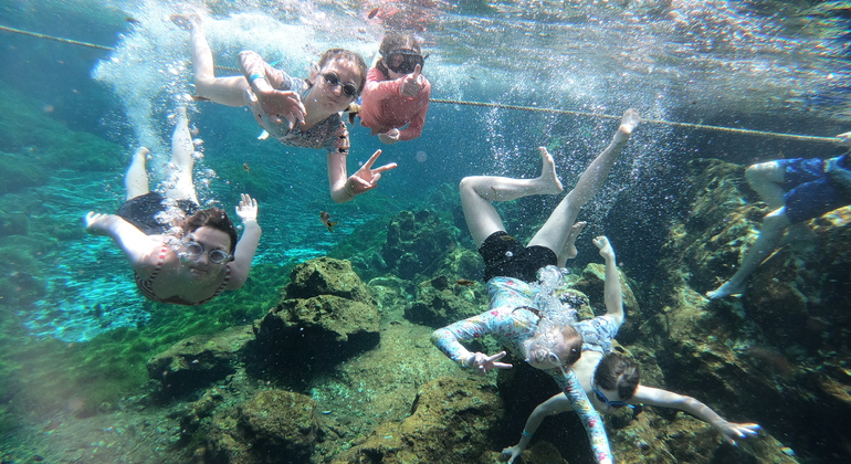 Cenotes de bicicleta e cozinha ao estilo maia em Tulum, Mexico