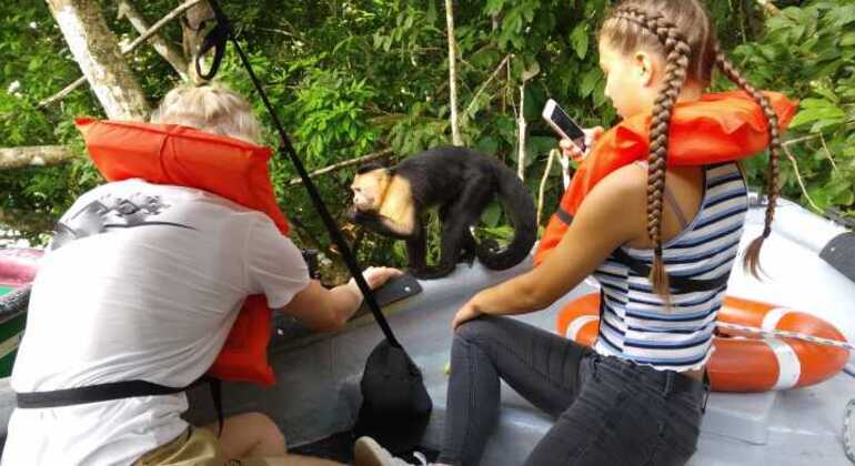 City Tour & Monkeys Island Panama — #3
