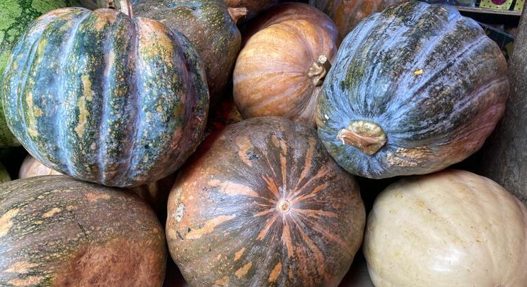 Cuisiner et manger la cuisine swahilie avec les habitants de Zanzibar  Tanzanie — #3