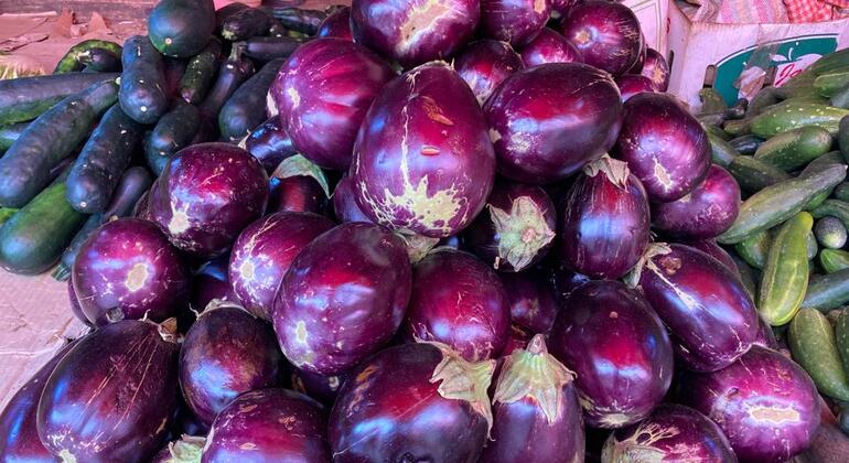 Cuisiner et manger la cuisine swahilie avec les habitants de Zanzibar  Tanzanie — #4