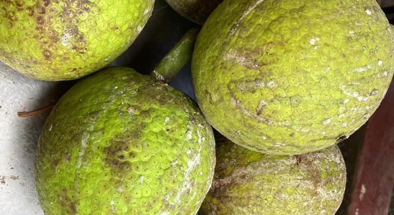 Cuisiner et manger la cuisine swahilie avec les habitants de Zanzibar  Tanzanie — #5